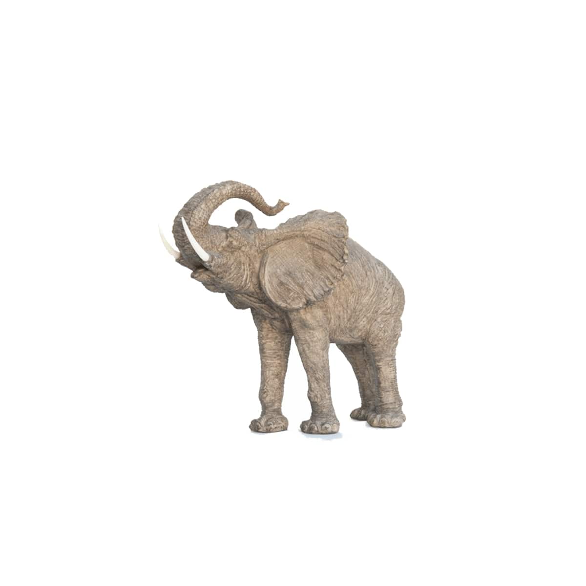 Elefante