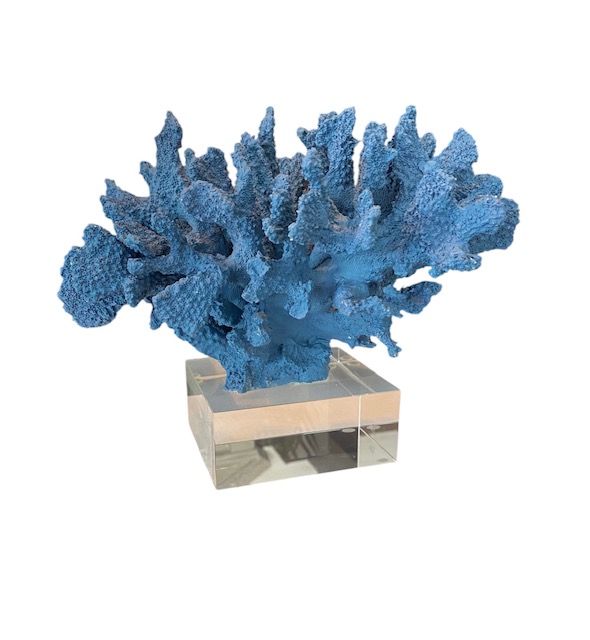 Coral Decorativo